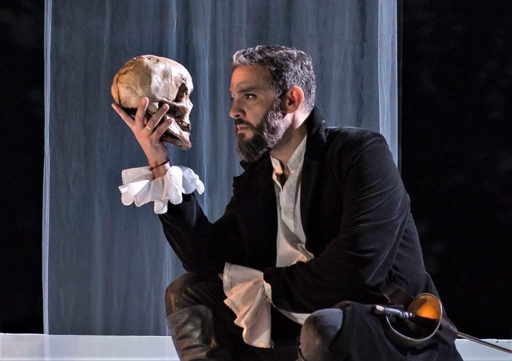 La imagen tiene un atributo ALT vacío; su nombre de archivo es hamlet-mercado-libre-1024x721.jpg